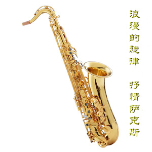 老阿姨内裤射精汇编
